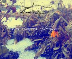 Zimske : Nos Epoques Ephémères